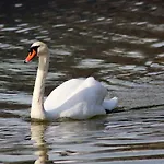 Arikogel Apartment Bad Goisern