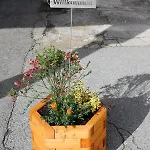 Apartment Arikogel *