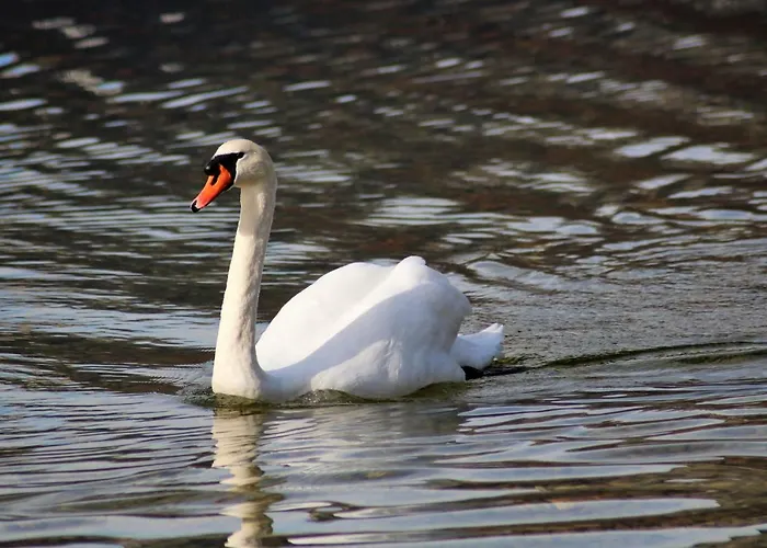 Arikogel Apartman Bad Goisern